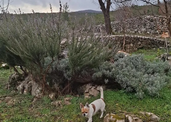 Story Stone House * Slivno (Split-Dalmatia)