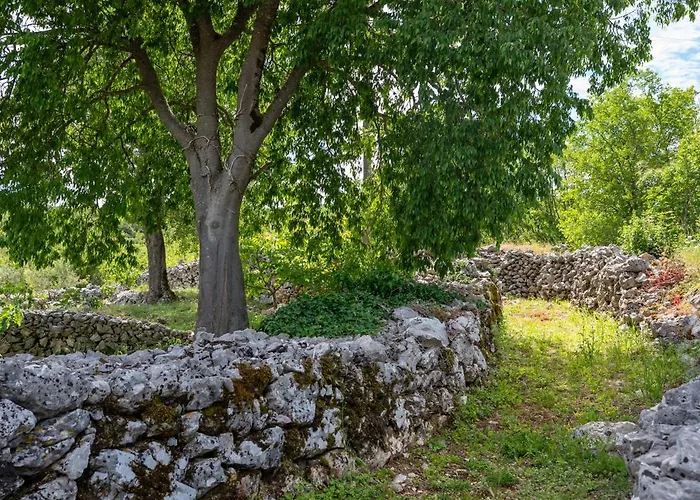 Story Stone House *