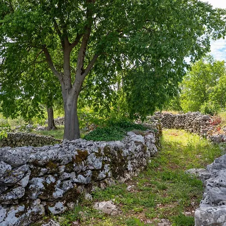 Story Stone House *