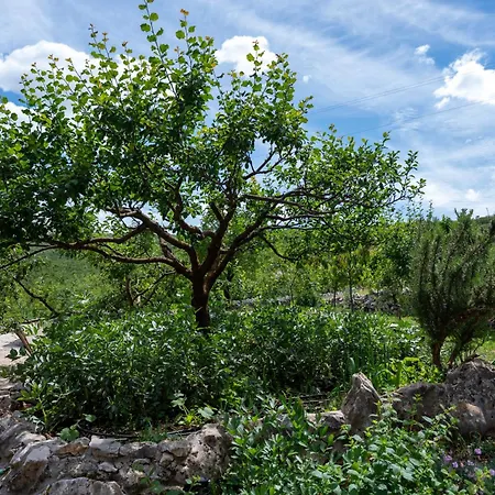 Story Stone House 公寓 Slivno (Split-Dalmatia)